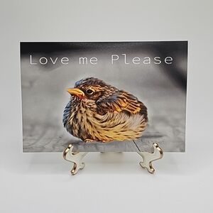 4x6 Cute Bird Resting‎ Watercolor Oil Painting Art Print